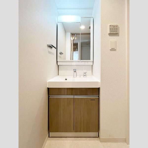 S-RESIDENCE高井田beletaの洗面所