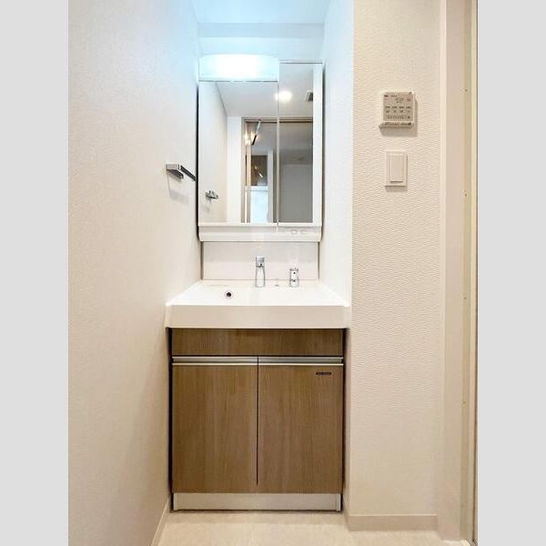 S-RESIDENCE高井田beletaの洗面所