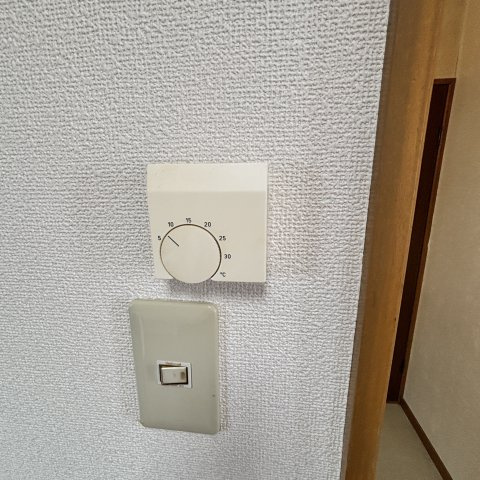 パープルタウンのその他