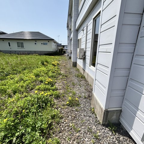 パープルタウンの庭