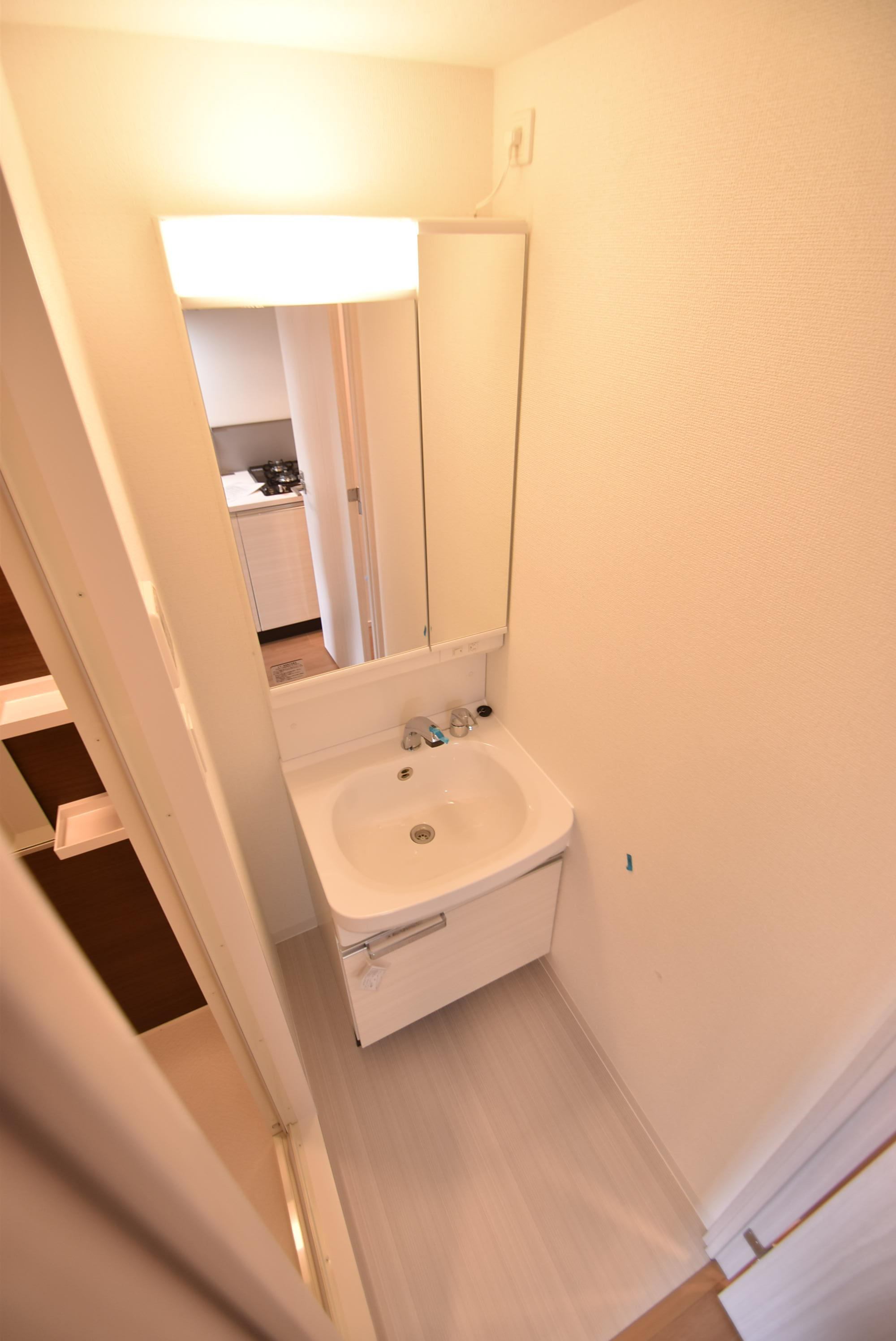 大阪市城東区鴫野西５丁目の賃貸マンションの洗面所