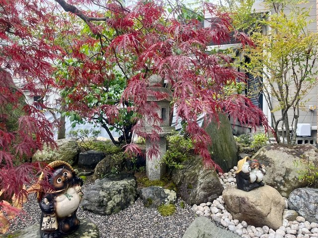 高島市新旭町旭中古戸建の庭