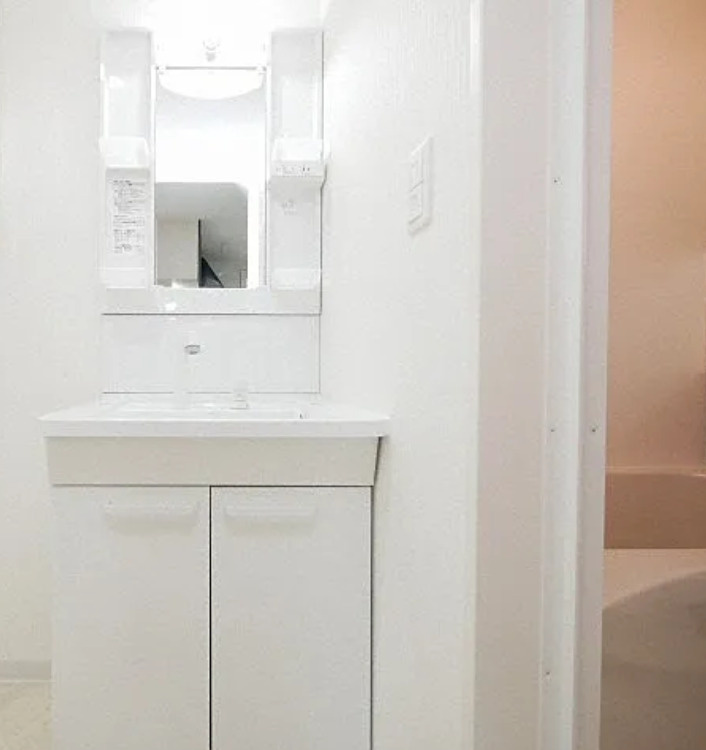 札幌市中央区南二十二条西8丁目　一棟マンション　築4年の独立洗面台