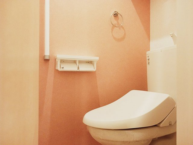グランリーオ・Ｒ　Ⅶのトイレ|トイレです