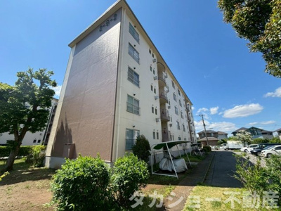 【外観】 | 船橋グリーンハイツ2-8-2