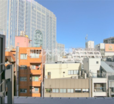 TFレジデンス蒲田の展望|展望