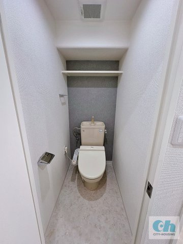 スカイライフハイツ 302号室のトイレ