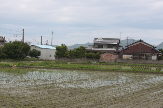松山市府中土地の外観|陽当たり良好です