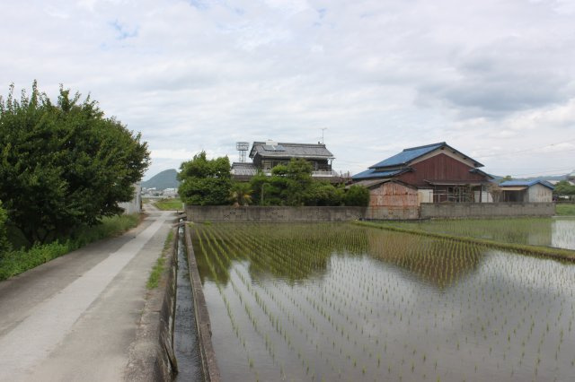 松山市府中土地の外観|静かな環境です