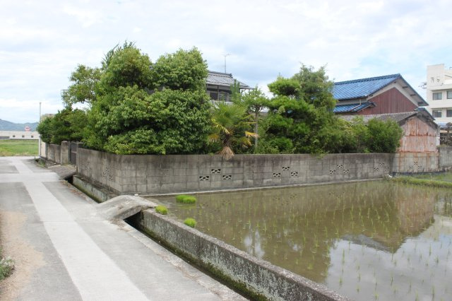 松山市府中土地の外観|南側は田んぼです
