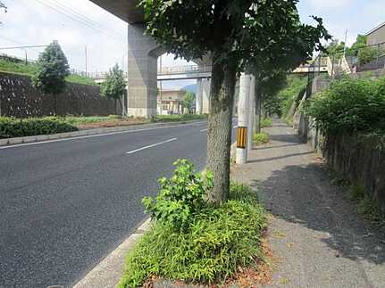広島市安佐南区伴東１丁目の前面道路含む現地写真
