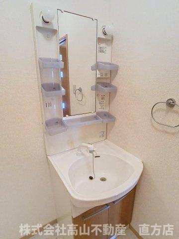 ヴィオラ楠橋の洗面所