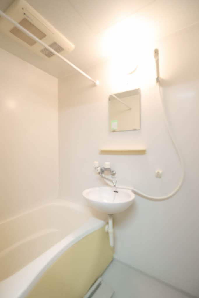 ジェネス寺本の洗面所