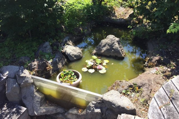 【庭】 | 桜沢別荘地　戸建