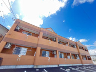 スターライズの画像