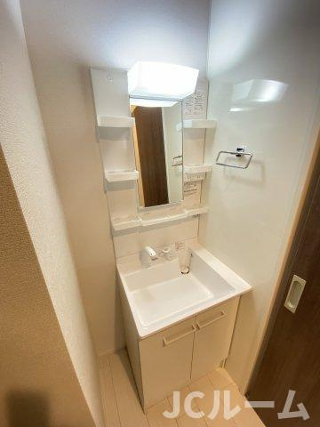 ノーブルスクエア Cの洗面所