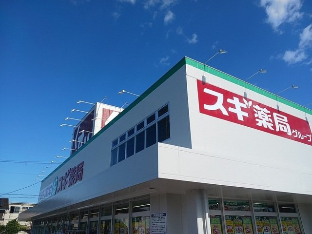 ポンテ　アルト　池上　Ａの周辺|スギ薬局様まで750m