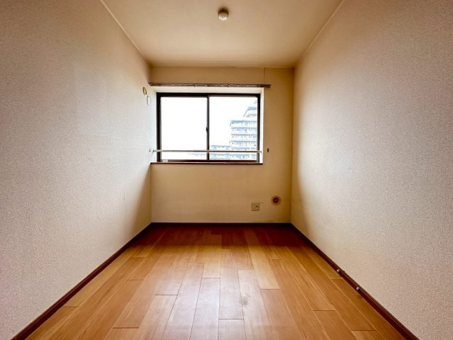 ロイヤルアイフティのその他
