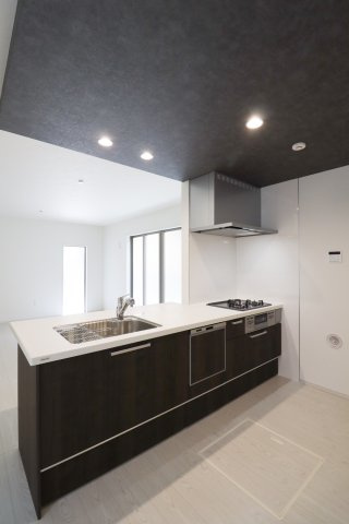 醍醐大高町２区画　２号棟のキッチン