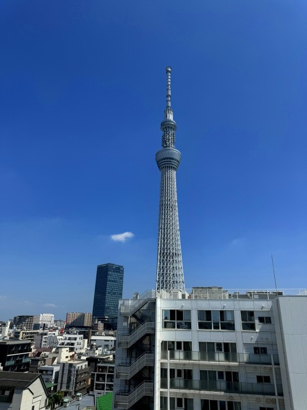 朝日言問マンション　10階　最　上階　角　部屋　リ　ノベーション済の展望