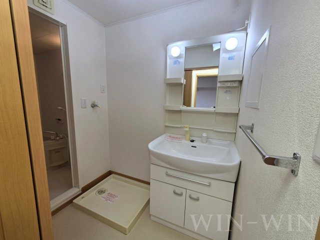 River side Bellの洗面所