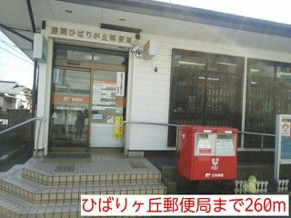 【周辺】 | ドミエルひばりが丘(ドミエルヒバリガオカ)