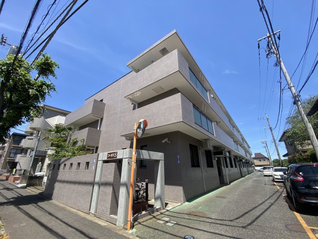 コーカスS