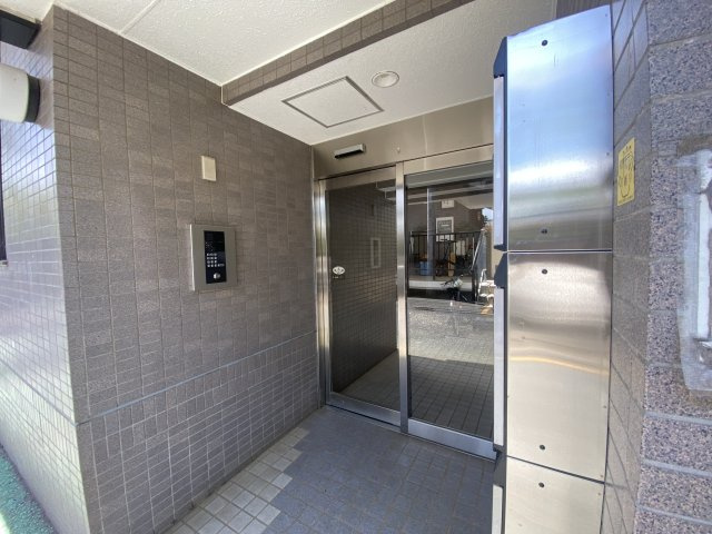 コーカスSのその他