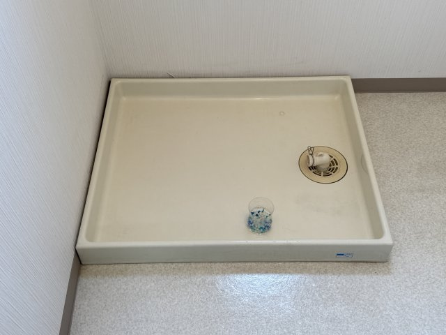 アーク早瀬のその他