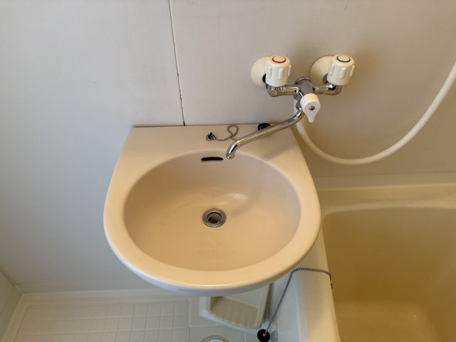 アーク早瀬の洗面所