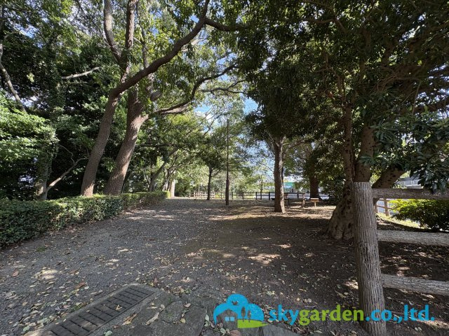 藤沢市大庭7期　新築戸建　全4棟4号棟のその他|前面道路の向こうには、緑豊かな西羽根沢公園