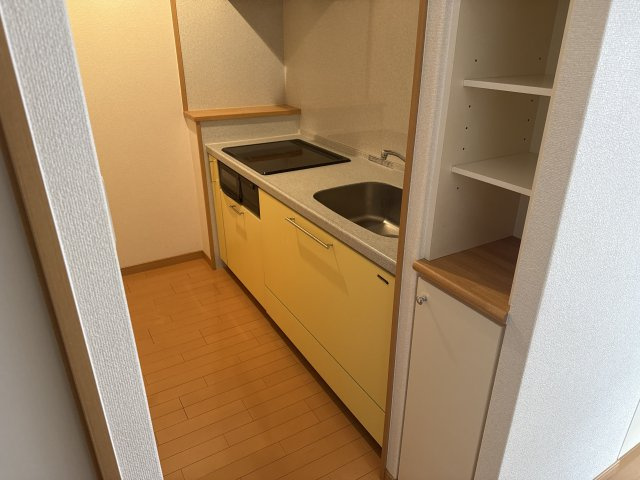 サクラメント駅南大路のキッチン