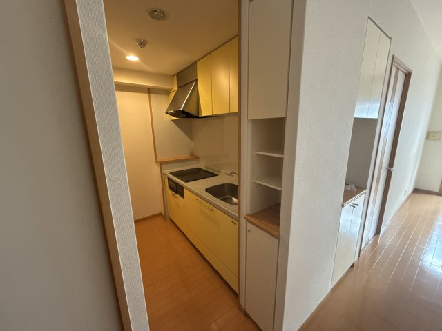 サクラメント駅南大路のキッチン