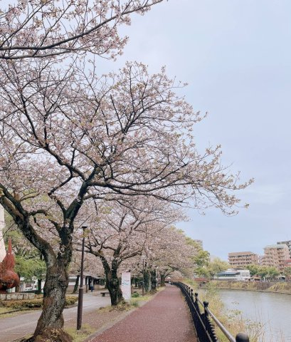 鹿児島市甲突町　一棟マンションの周辺