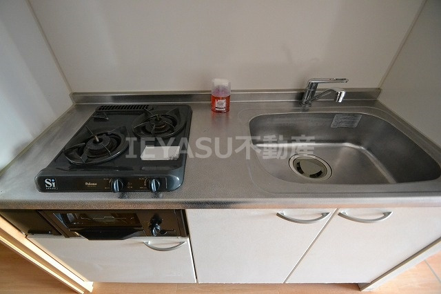 リーベングランツ平和大通りのキッチン