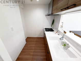 大きなシンクでお鍋などの大きな調理器具を洗う際にも便利です。