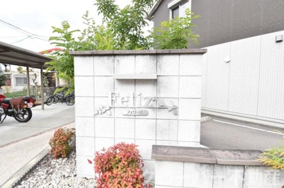  | フェリース | 名盤