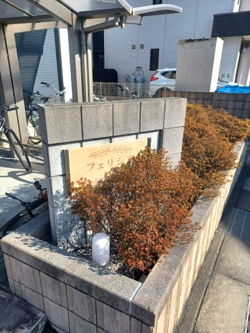 フェリシアの駐輪場