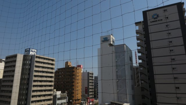 ヴェローノ大国の展望