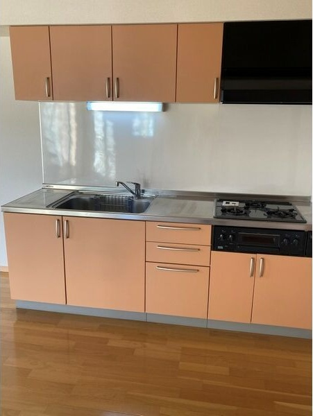 千寿パレスのキッチン