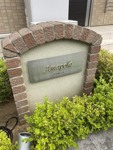 アマポーラのその他