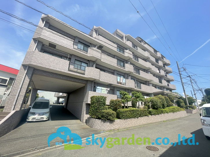 シーダム藤沢善行