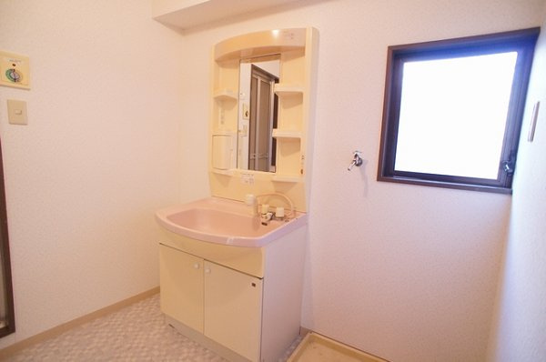 シャトレーナルシマの洗面所