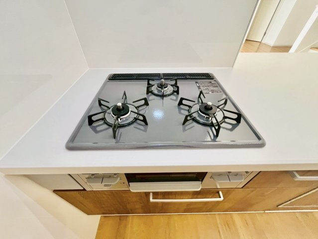 日野西大道町１号地