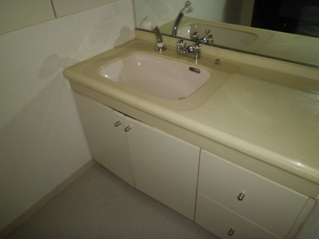 シュネルパークレジデンスの浴室