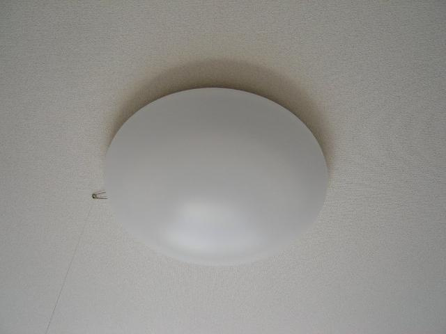 フォレスト，コーポのその他|照明