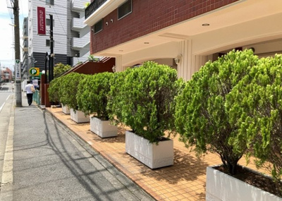 【中庭】 | スターハイツ相模大野駅前 | 中庭（パティオ）とは、一つの建築物の内部に設けられた、壁などで囲われている庭のことを指します。コの字型、ロの字型が主流ですが、L字型の中庭もあります。最近では、インテリア性の高さからも人気があります。