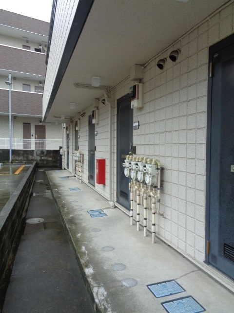 藤沢市大鋸２丁目の賃貸マンションのエントランス