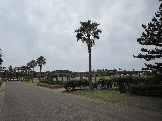 Ｍａｉｓｏｎ　ｄｅ　Ｐｌａｇｅのその他|辻堂海浜公園