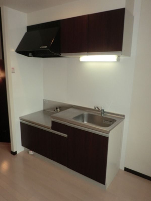 【キッチン】 | MAISONETIC Rene corpo | 別号室の写真になります。現況優先。